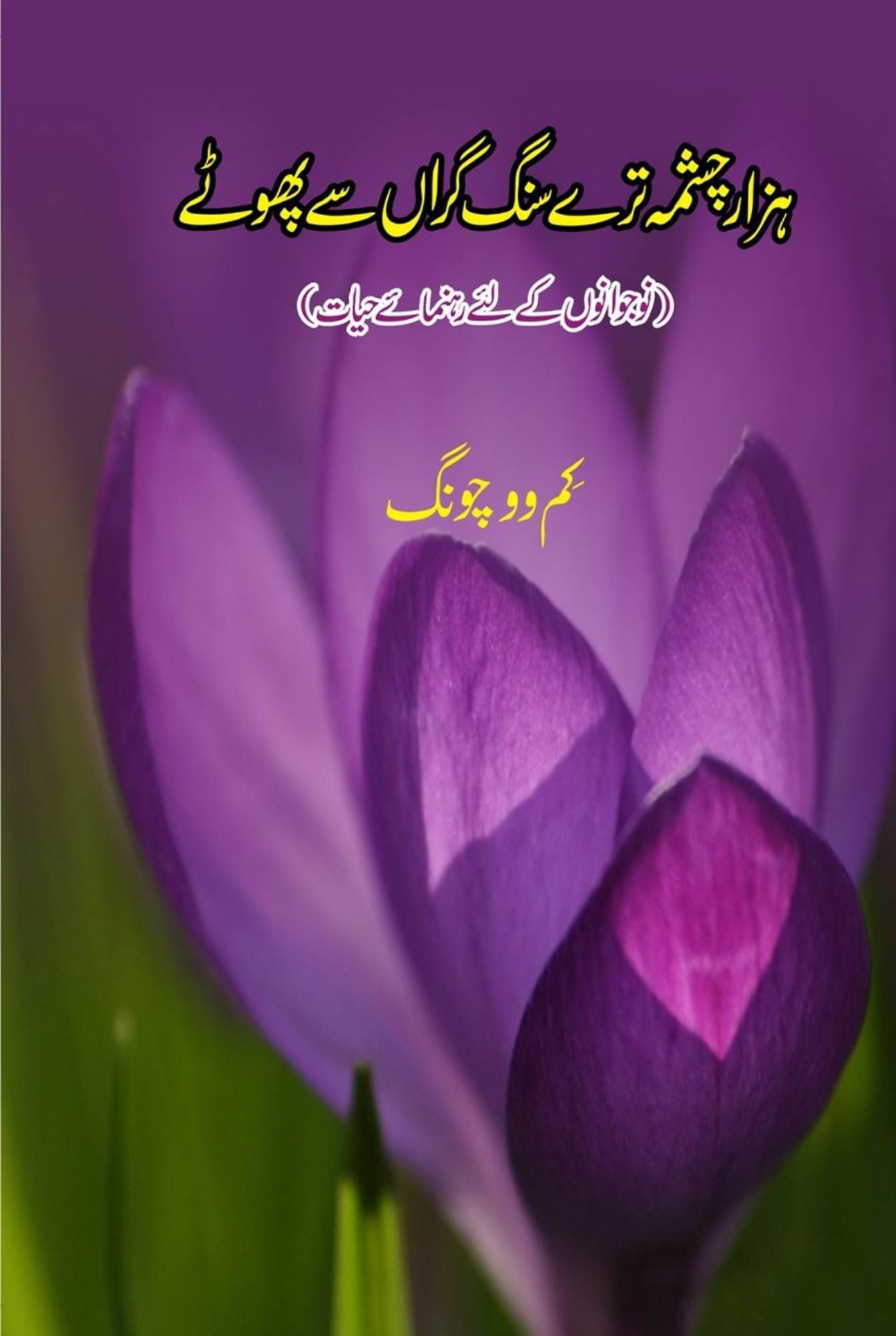 چشمہ ترے سنگ گراں سے پھوٹے | Every Street Is Paved With Gold: The Road To Real Success | Kim Woo-Choong