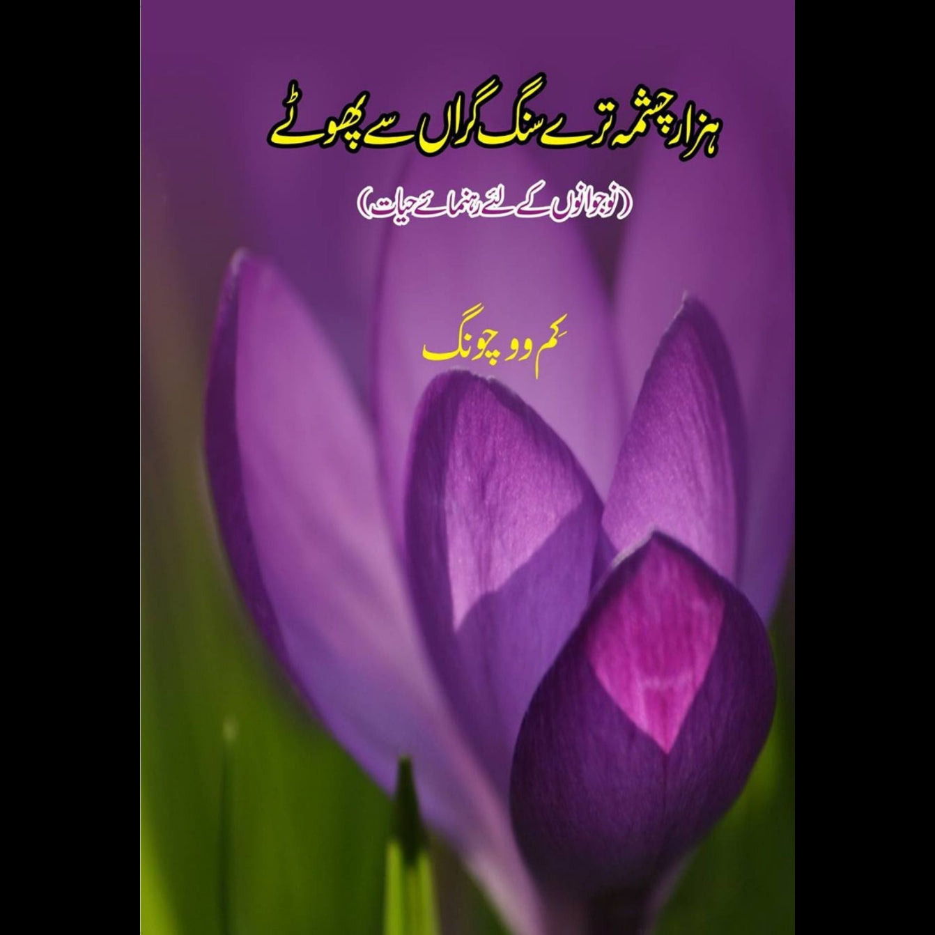 چشمہ ترے سنگ گراں سے پھوٹے | Every Street Is Paved With Gold: The Road To Real Success | Kim Woo-Choong