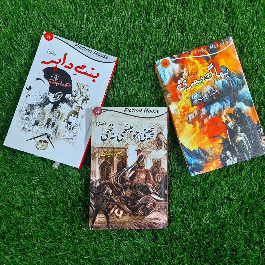 Bhagg Bhari | Safdar Nawaid Zaidi | Cheni Jo Mithi Na Thi | Bint e Dahir | Books Deals