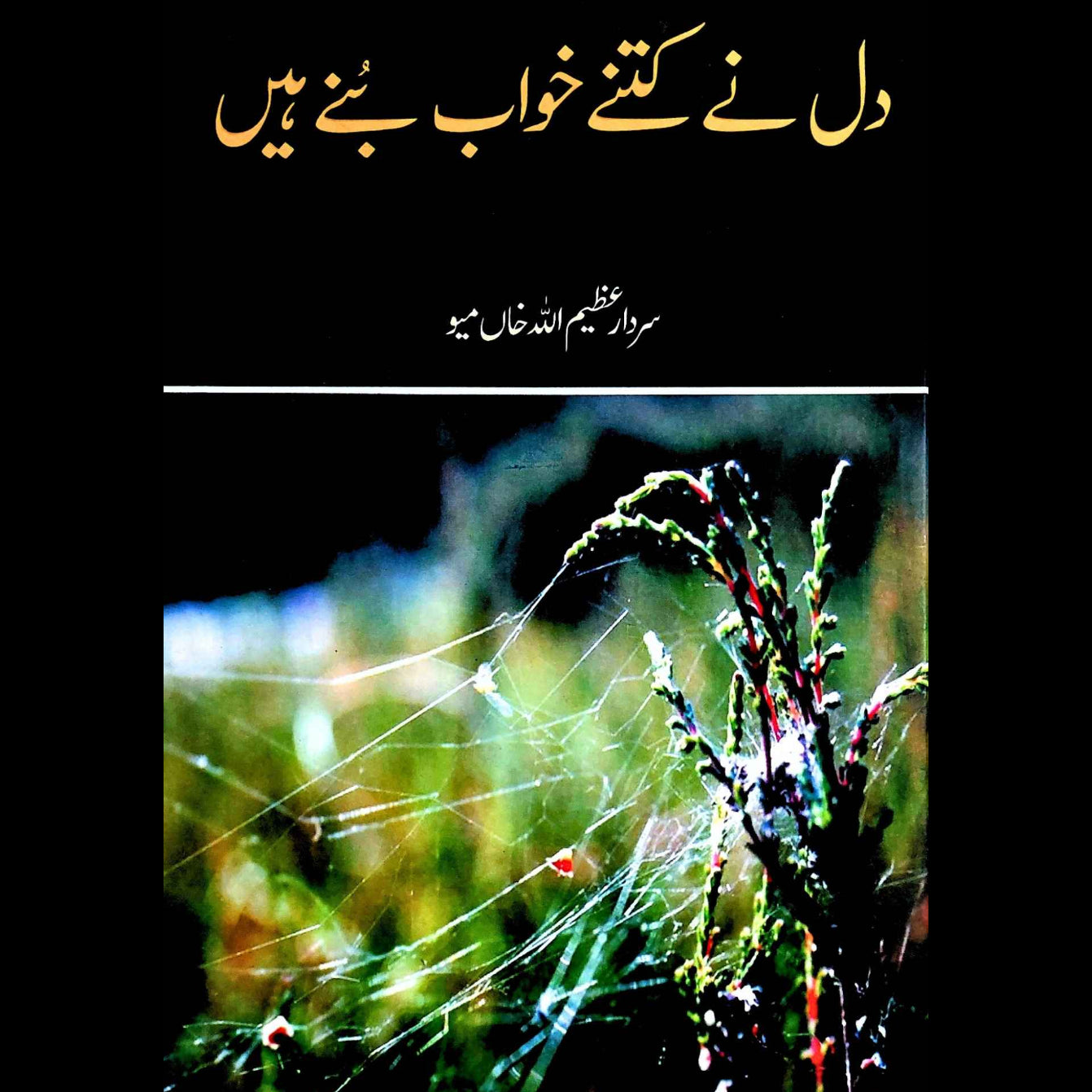 دل نے کتنے خواب بنے ہیں | Dil Nay Kitny Khawab Bunay Hein | Poetry