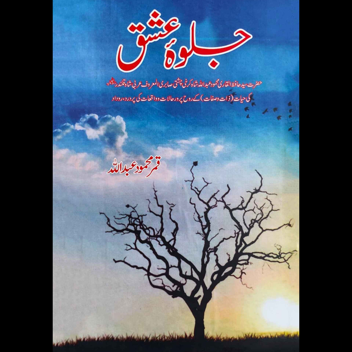 جلوۂ عشق | قمر محمود عبداللہ | Jalwa Ishaq