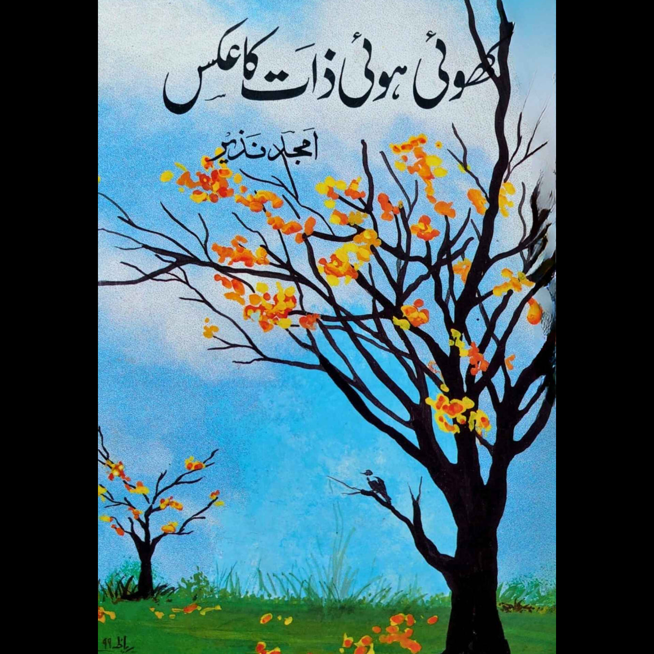 کھوئی ہوئی ذات کا عکس | امجد نزیز