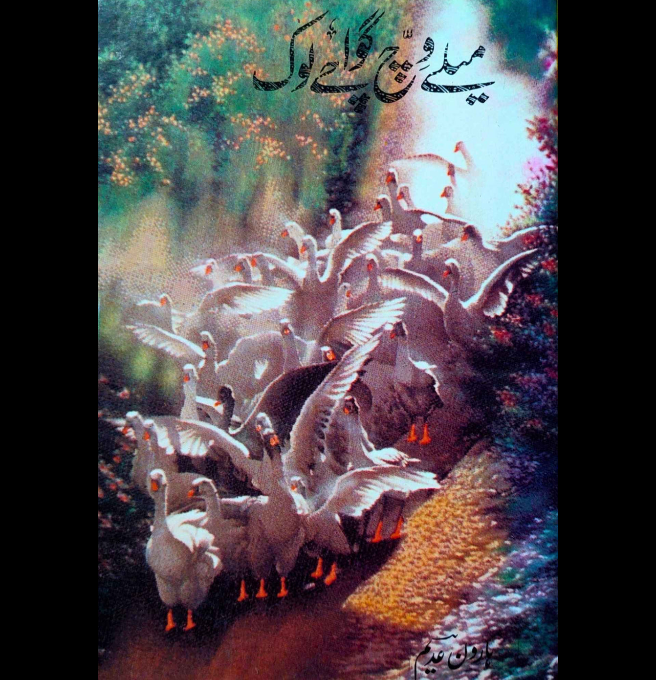 میلے وچ گواچے لوگ | میری شاعری | ہاورن عدیم | Haroon Adem