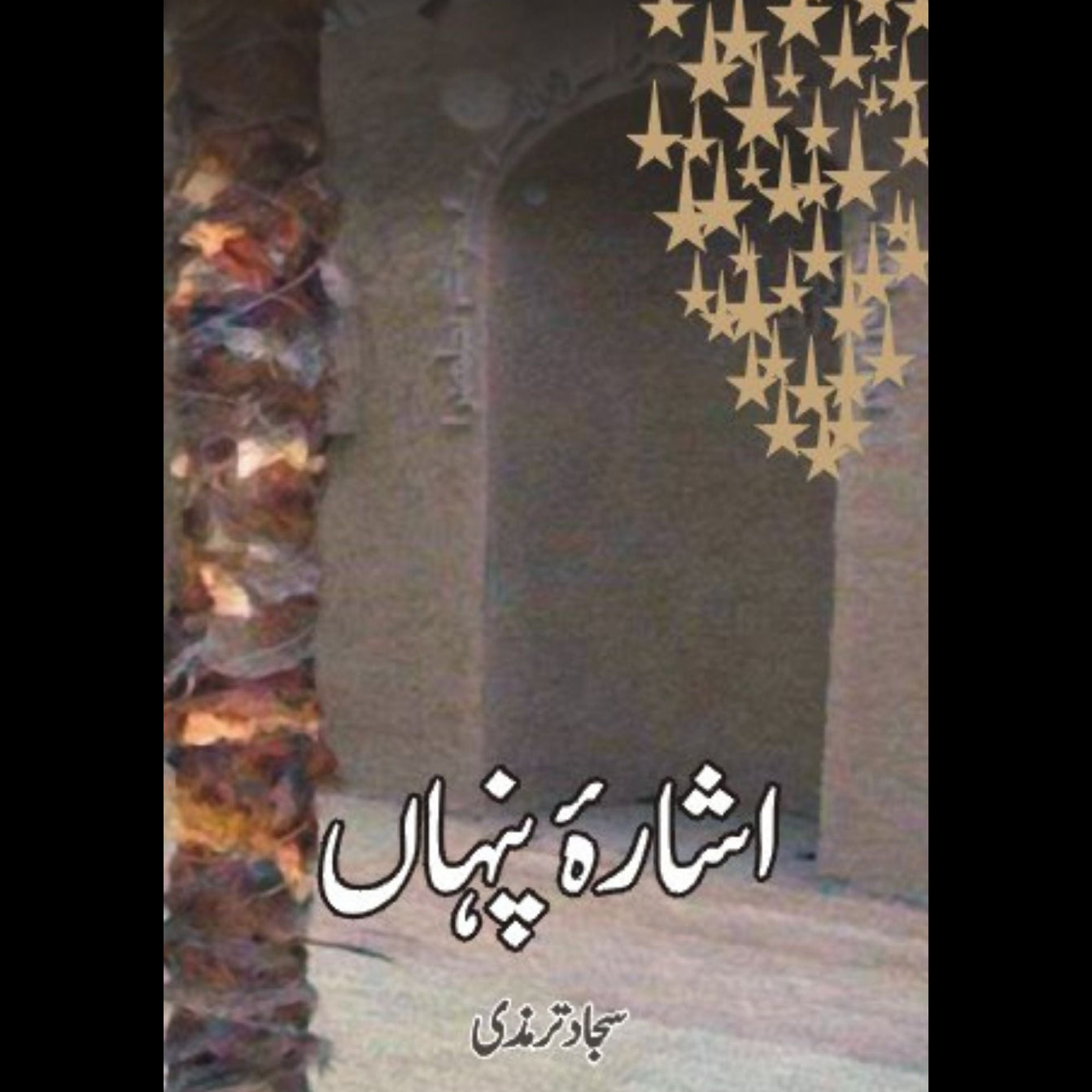 اشارہ پنہاں | Asharah Pinha