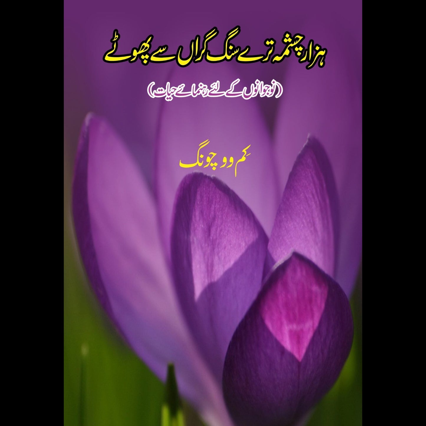 ہزار چشمہ گر سنگ تیرے | A thousand fountains fall on you