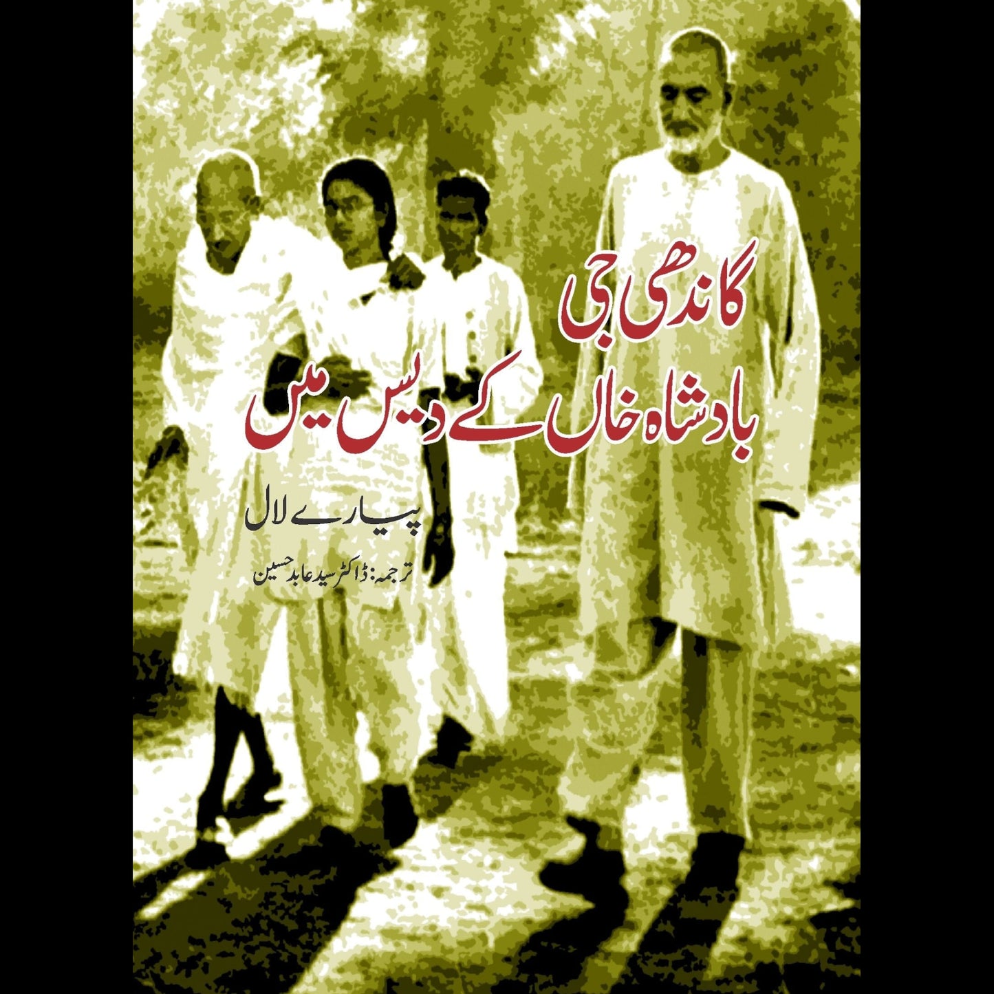 گاندھی بادشاہ خان کے دیس میں | Gandhi Badsha Khan Kay Days Mein