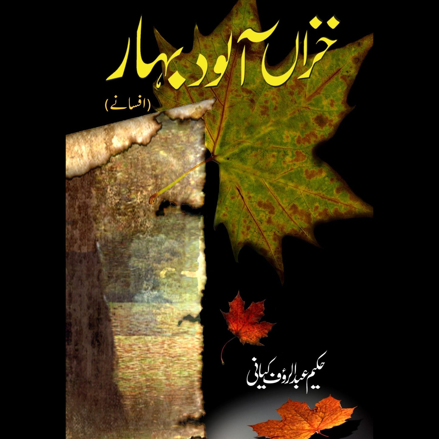 خزاں آلود بہار | Khaza Alwad Bahar