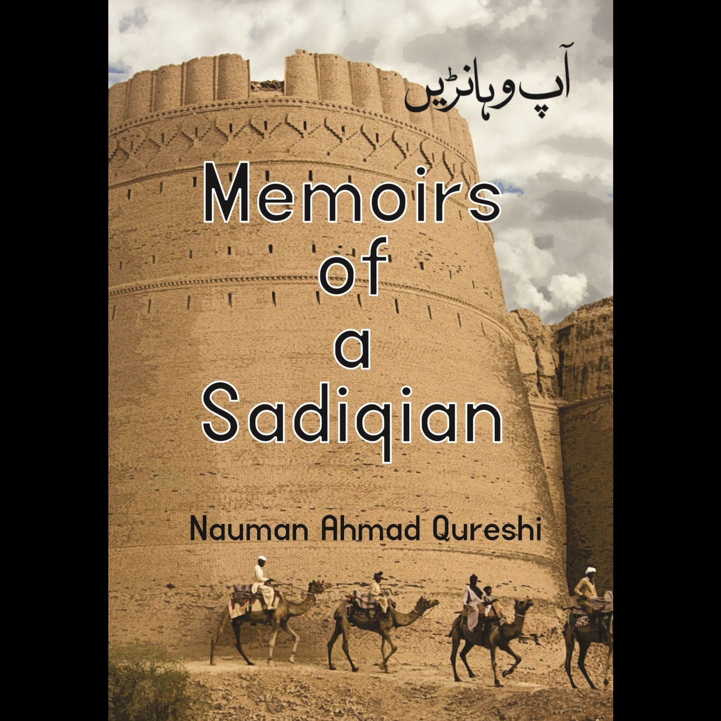 Memoirs of a Sadiqain