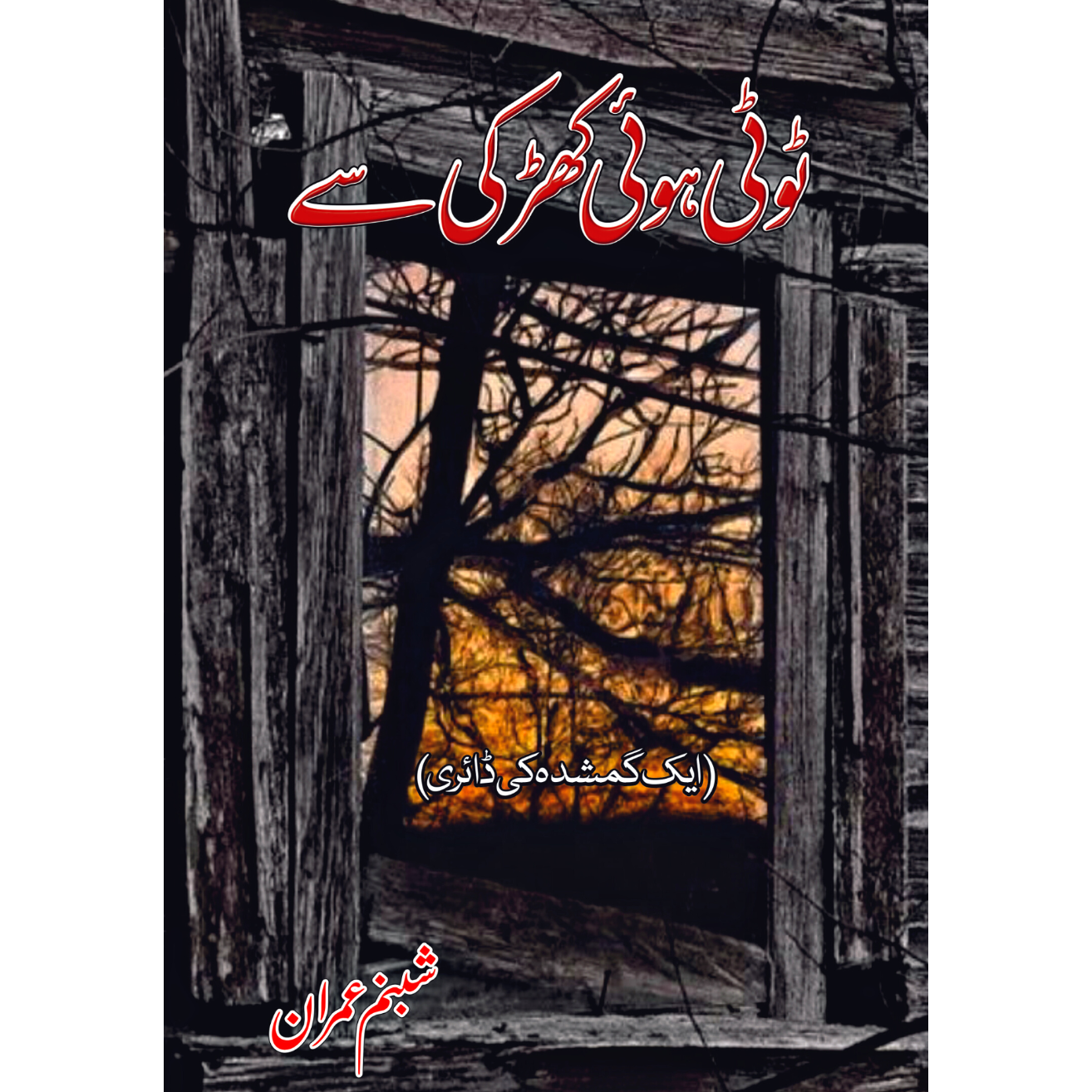 ٹوٹی ہوئی کھڑکی سے | شبنم عمران