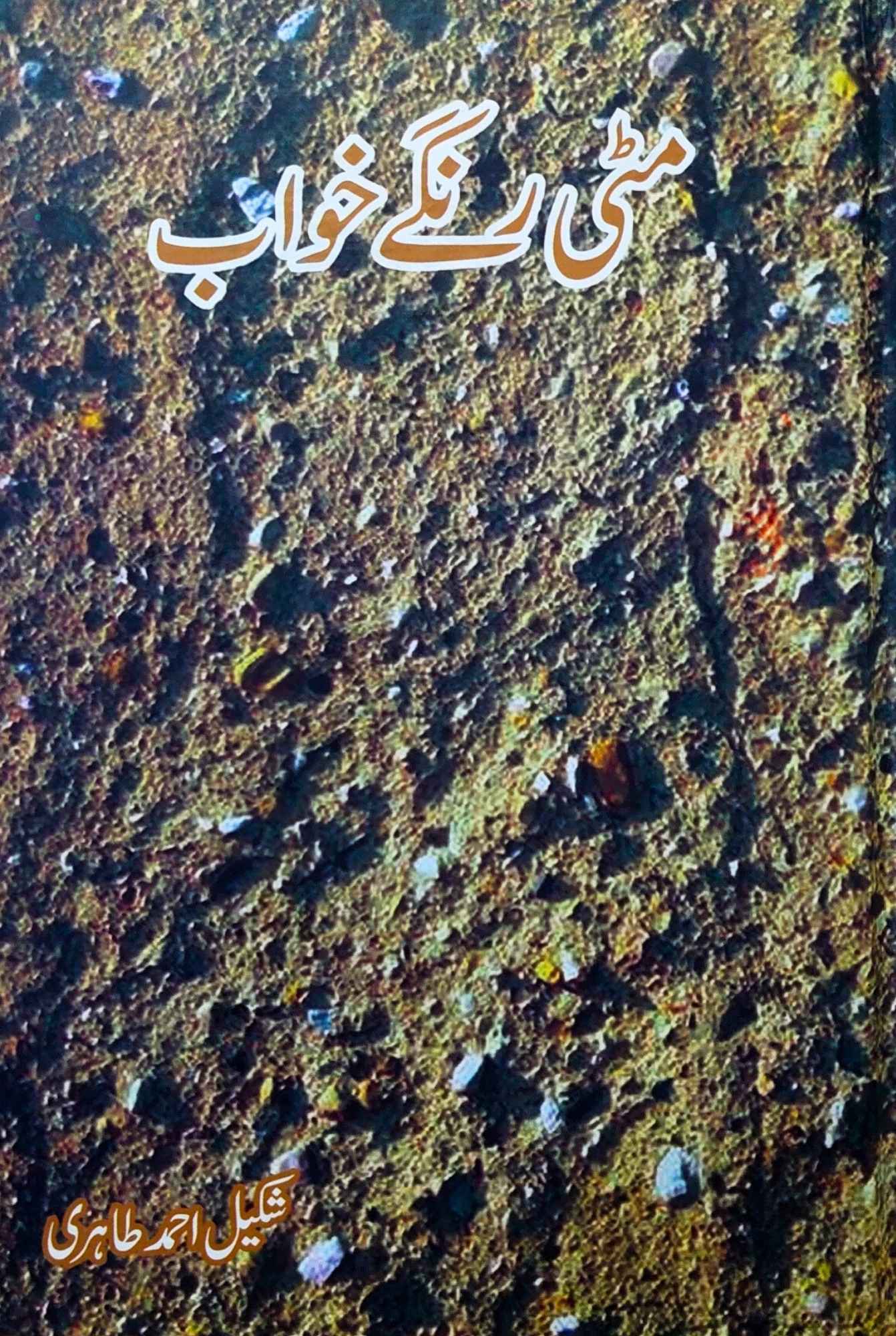 مٹی رنگے خواب | شکیل احمد طاہری