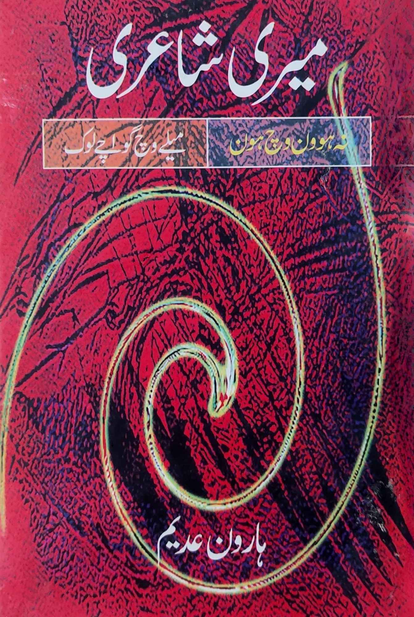 میری شاعری | ہاورن عدیم | Meri Shayari | Haroon Adem