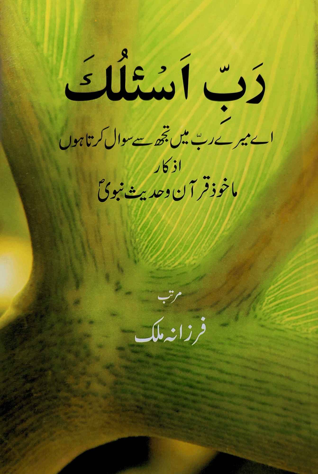 رب اسلک | ماخوز قرآن و حدیث نبویﷺ