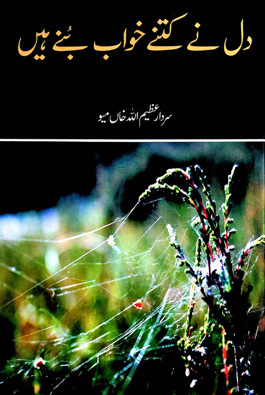 دل نے کتنے خواب بنے ہیں | Dil Nay Kitny Khawab Bunay Hein  | Poetry