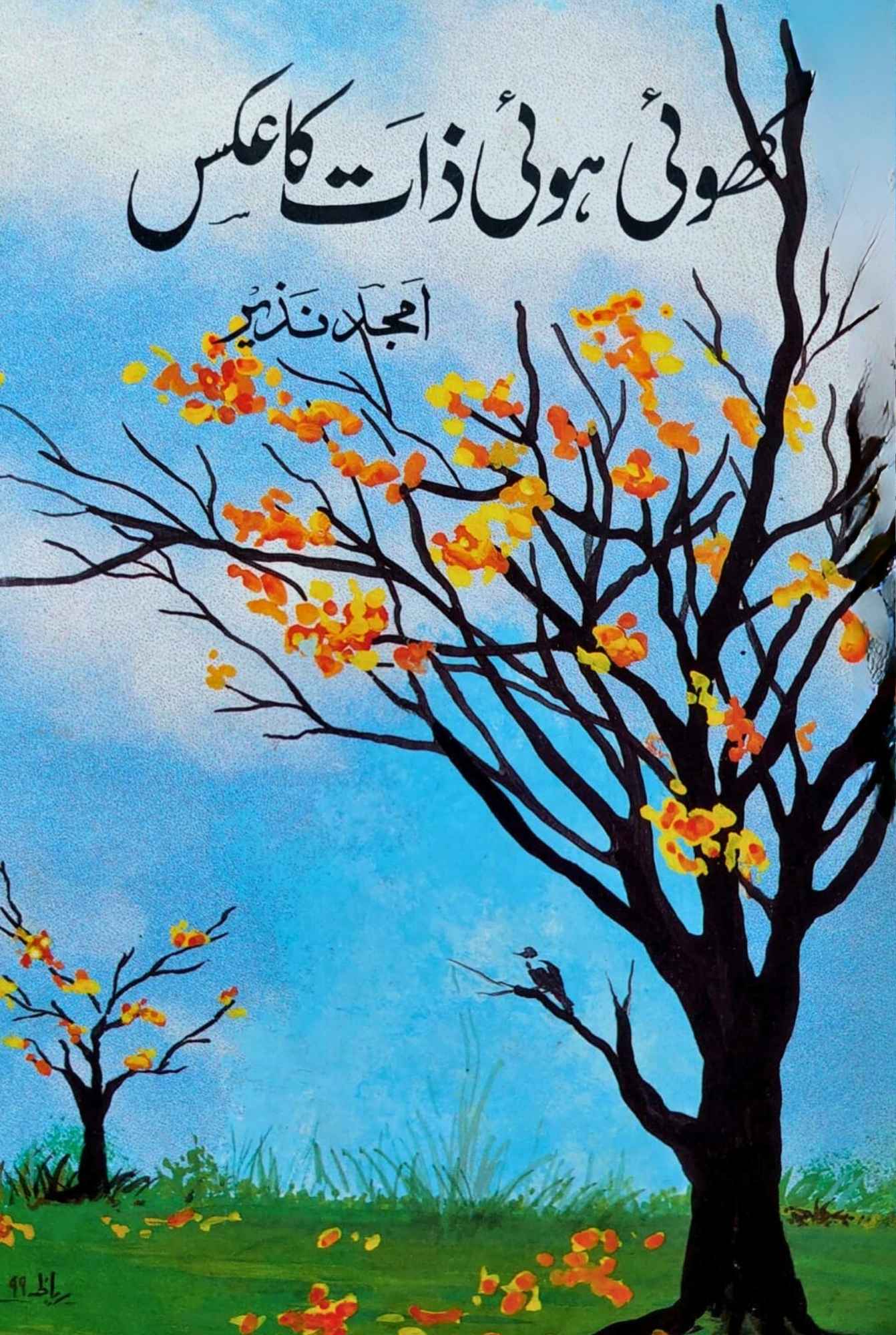 کھوئی ہوئی ذات کا عکس | امجد نزیز