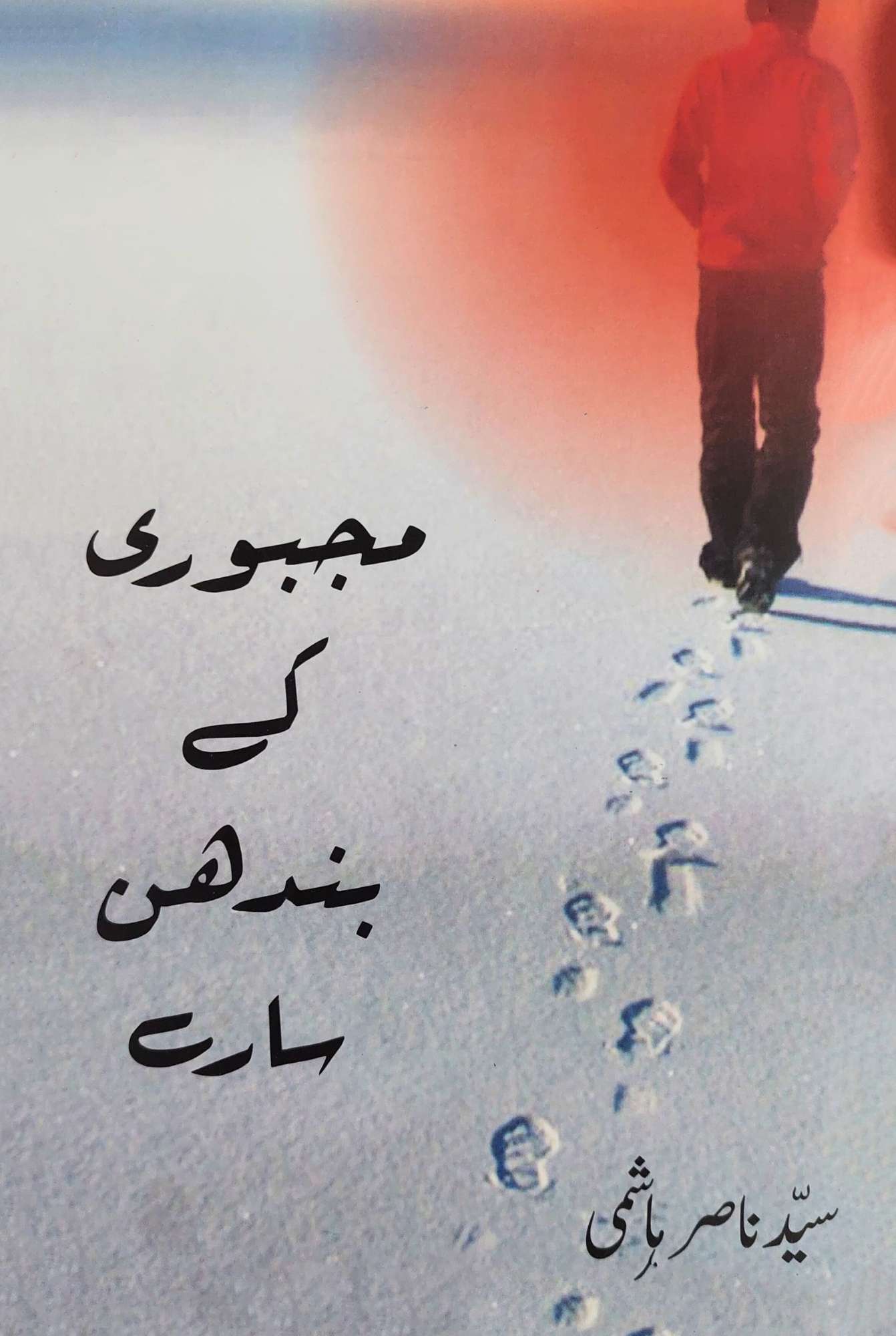 مجبوری کے بندھن سارے | سید ناصر ہاشمی