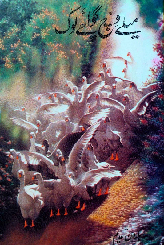 میلے وچ گواچے لوگ | میری شاعری | ہاورن عدیم | Haroon Adem